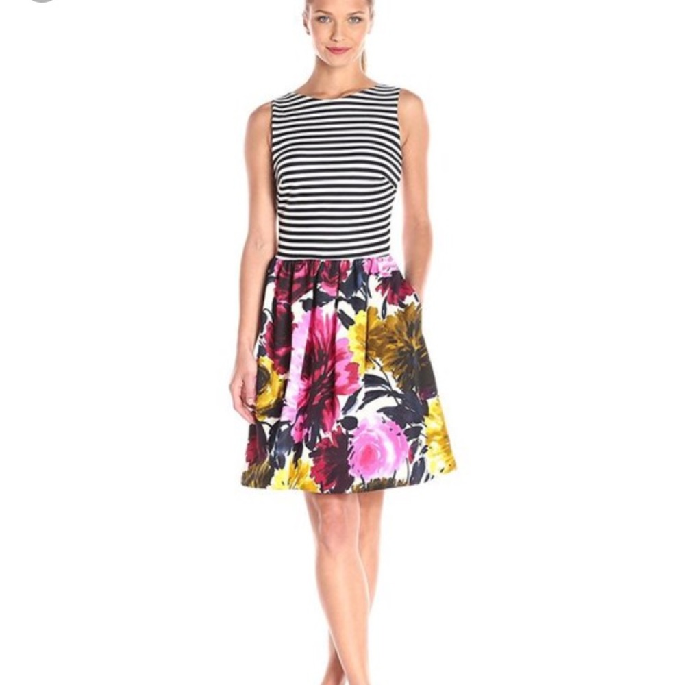 Taylor Stripe and Floral Dress